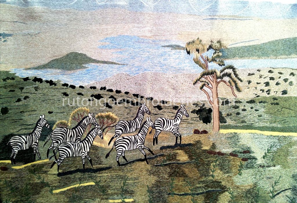 The Zebras of Akagera