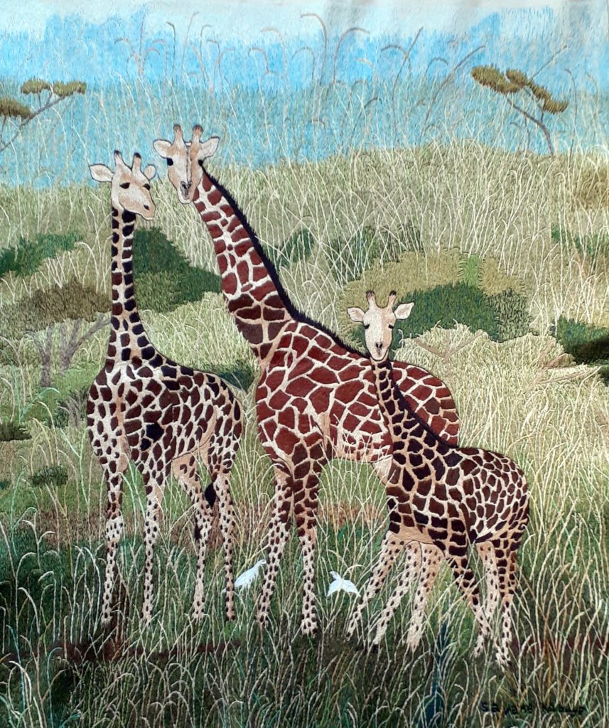 A Family of Masai Giraffe