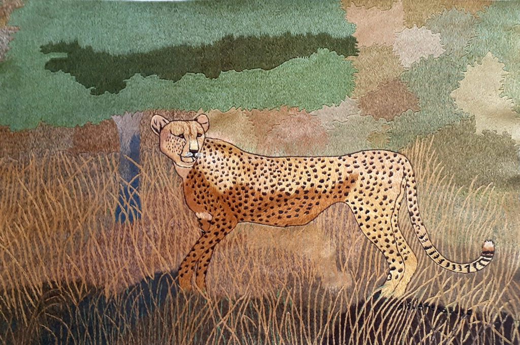 .Cheetah in the Tall Grass