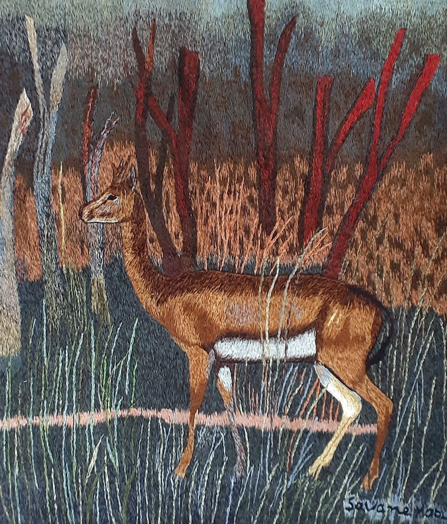 Antelope of the Rainforest